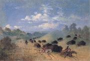 Comanche Indians Chasing Buffalo with Lances and Bows George Catlin